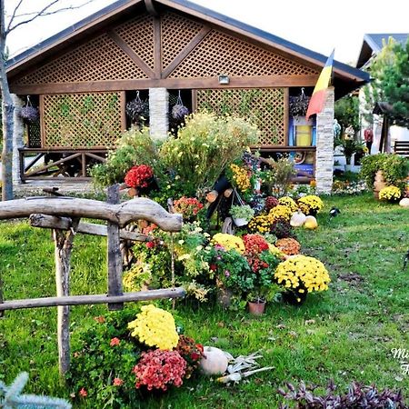 Hanul Marioarei Роман Екстериор снимка